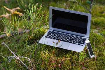 laptop in forest, business travel