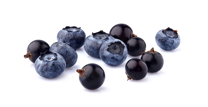 Black currant berries with blueberries   on White Background isolated.  Ripe black berries isolated.