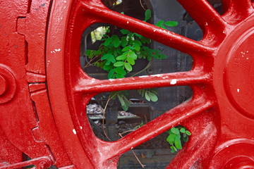 Rad einer Dampflok auf dem Abstellgleis und grüne Blätter