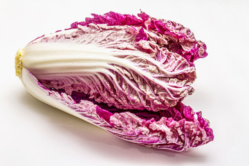 Obraz premium Ripe single purple Napa (chinese) cabbage. Fresh whole head of cabbage. Isolated on white background