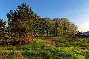 green wasteland in Paris eastern suburb