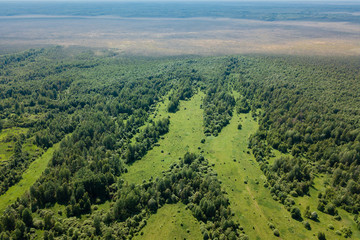 aerial photography landscape green forest and fields