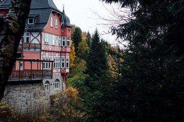 Gasthaus Steinerne Renne im Herbst mit Wald