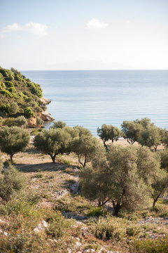 wild beach on greek island