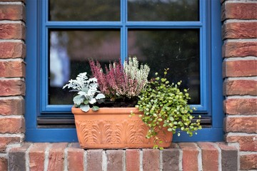 Fototapeta na wymiar window with flowers