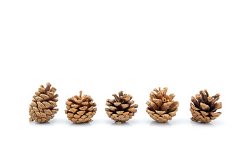 image group of pinecone isolated on white background, set of pine cone tree is symbol decoration Christmas holiday, object nature concept.