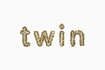 The word Twin is made by gold wired jewelry letters isolated on white background. 3D illustration image
