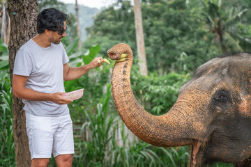 Handsome young Latin man tourist is feeding an elephant with bananas in the jungle, taking care of...