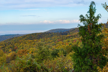 Fototapeta na wymiar Panorama of Mount Fruska Gora in the fall