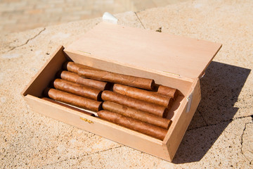  Cigars are in a box. Top view. Horizontal.