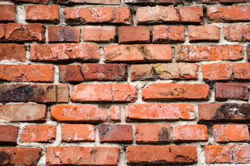 Fragments of old brickwork. Red Cypriot. Natural weathering. Concept design for the interior.