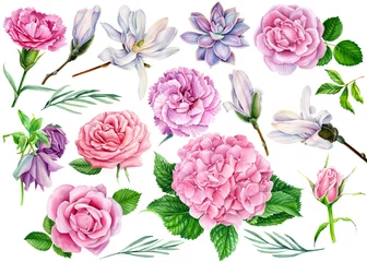 Deurstickers larger set of flowers, carnation, succulent, hellebore, magnolia, hydrangea, pink rose with green leaf, beautiful flower on a white background, watercolor illustration, botanical painting © Hanna