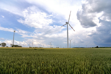 renewable energies - power generation with wind turbines in a wind farm