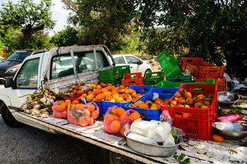 Old Pick up full of ripe oranges.