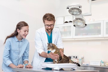 Vet examining cat with the owner in clinic