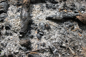 The texture of the ash left after the fire, background