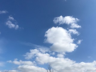 blue sky with clouds