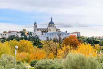 Almudena Cathedral with trees with autumn color in Madrid