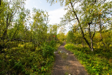Fototapeta premium Sweden Abisko national park hiking Kings road