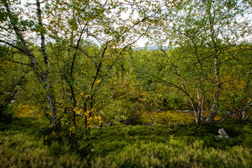 Sweden Abisko national park hiking Kings road