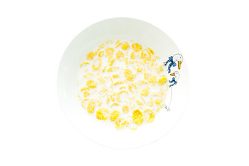 cereal with milk in a white plate for breakfast, space for text, isolate