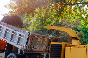 Wood chipper blowing tree branches cut a portable machine used for reducing wood into smaller wood...