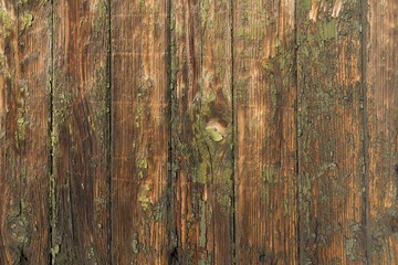 Dilapidated wooden wall with parallel vertical panels. Texture fragment