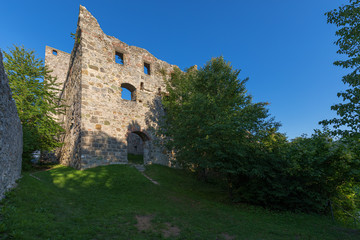 Fototapeta na wymiar Ruine der ehemaligen Stauferburg Niederhaus