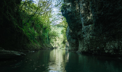 Fototapeta na wymiar mountain river among rocks with green plants in Martville Canyon in Georgia
