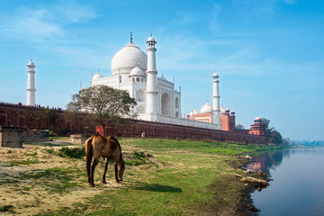 The Taj Mahal at sunrise in Agra, India.