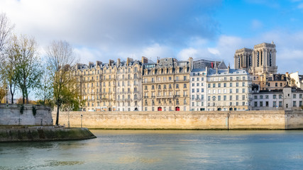 Naklejka premium Paris, view of the Seine and the ile de la Cité, beautiful houses on the Quai aux Fleurs, and Notre-Dame cathedral in background