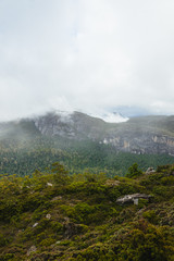 Obraz na płótnie Canvas In the tasmanian mountains
