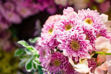 Soft pastel color tone of bouquet of chrysanthemum flowers