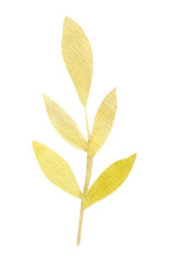 Hand drawn watercolor spring leaves. Isolated on white background.