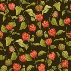 Seamless patern with watercolor physalis. Botanical pattern with husk tomato. 
