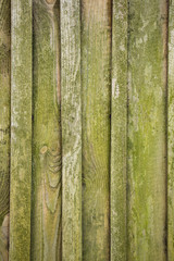 Fototapeta premium Old wooden boards with peeling paint. Old background. Textured planks of oak and pine. Bright colours. Natural aging of the material.