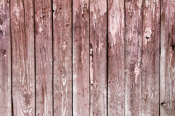 Naklejka premium Old wooden boards with peeling paint. Old background. Textured planks of oak and pine. Bright colours. Natural aging of the material.
