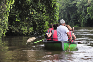 Tourists exploring a wild nature area by rowing boat. Ecotourism concept. Tortuguero national park....