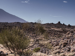 Fascinating rock formations on the volcano of Tenerife