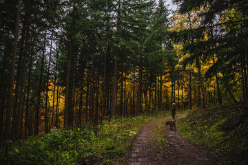 junge Frau mit Boxer Hund auf einem Spaziergang durch den herbstlichen Wald