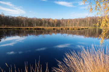 Kaltenhofer Moor in Schleswig-Holstein in Germany