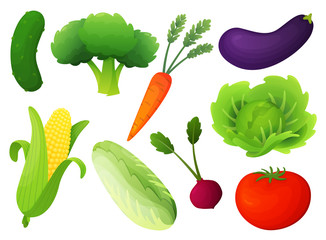 Fresh vegetable vector set. Healthy diet flat style illustration. Isolated green food, can be used in restaurant menu, cooking books and organic farm label. Concept for web banners, infographic