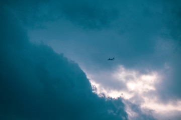 飛行機