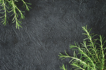 branches of fresh rosemary on a dark background top view. frame of fresh rosemary branches. copy space. flat lay.