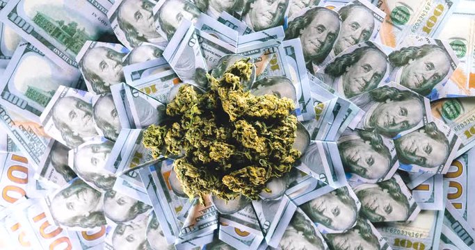 Medical marijuana lies on spinning banknotes one hundred US dollars