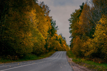 Autumn asphalt road