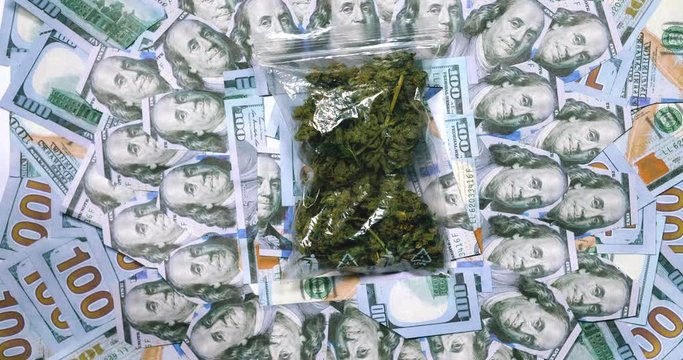 A bag slips from cannabis on one hundred US dollar bills.
