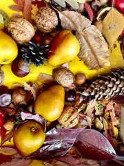 autumn composition of pears, leaves, cones and nuts
