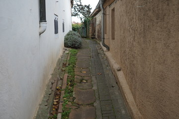 Historische Gasse in Rhodt unter Rietburg