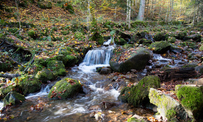 Cascades de Hohwald in den Vogesen